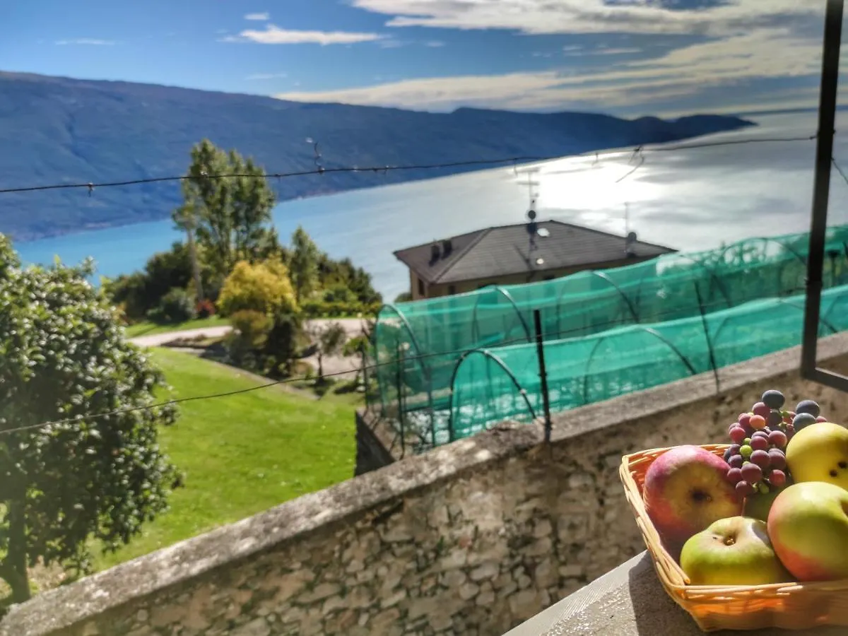 Campello Lake View Apartment Tignale